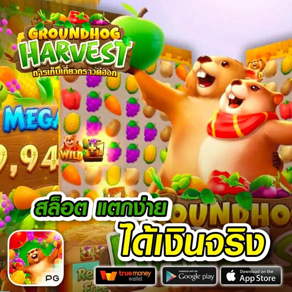 เว็บ สล็อต ฝาก 20 รับ 100 Wallet โปรโมชั่นสล็อตออนไลน์สุดฮิต 2024